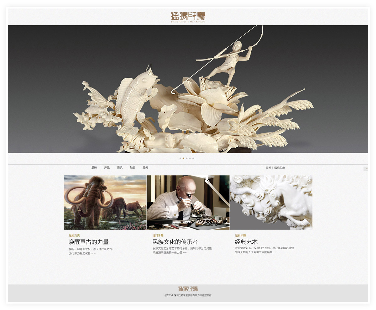 深圳品牌網站設計公司