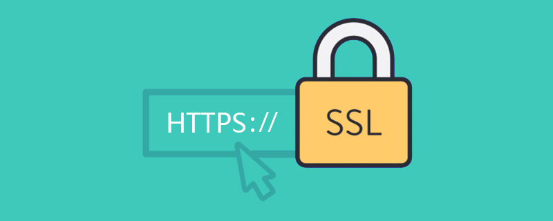 自由創想 SSL證書加密技術